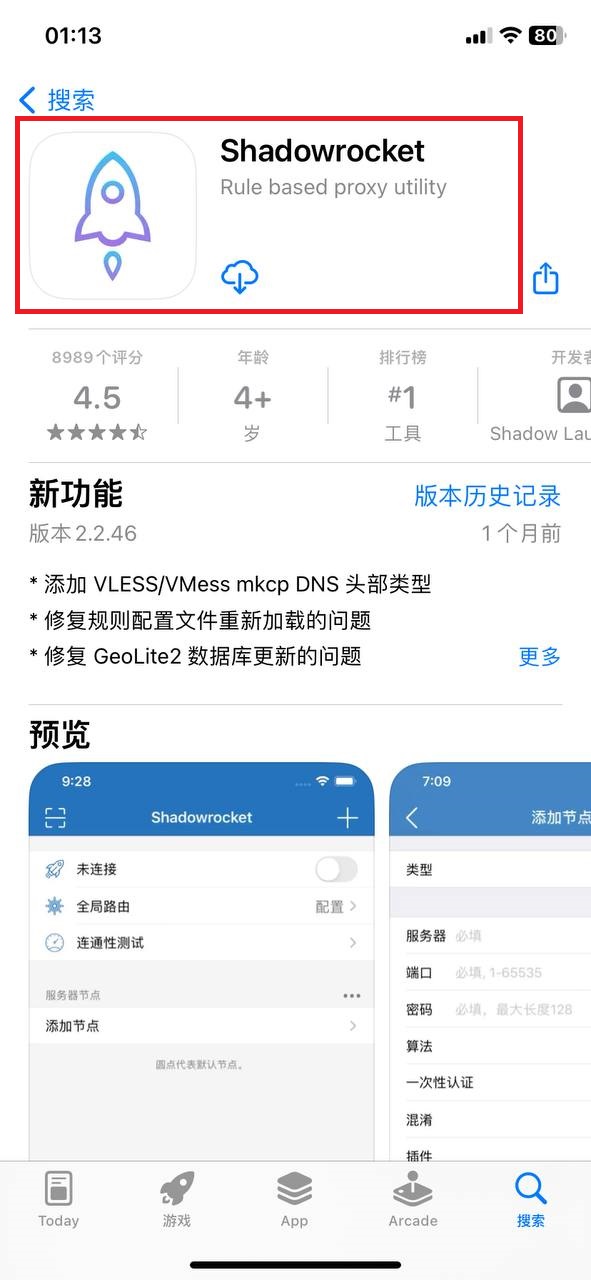 App Store 中的 Shadowrocket 应用